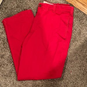 IZOD Saltwater Chinos red W36 L32